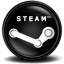 Steam