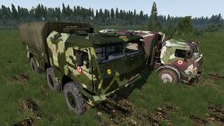 Camions Camo Woodland